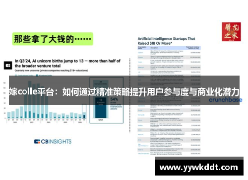 嫁colle平台：如何通过精准策略提升用户参与度与商业化潜力